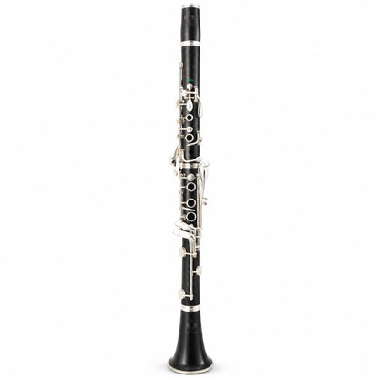 Buffet Crampon R13 'Greenline' Professional Bb Clarinet