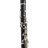 Buffet Crampon R13 Professional A Clarinet SN 219402 GORGEOUS- for sale at BrassAndWinds.com