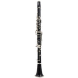 Buffet Crampon R13 Professional A Clarinet SN 219402 GORGEOUS- for sale at BrassAndWinds.com