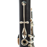 Buffet Crampon R13 Professional A Clarinet SN 85995 GORGEOUS- for sale at BrassAndWinds.com