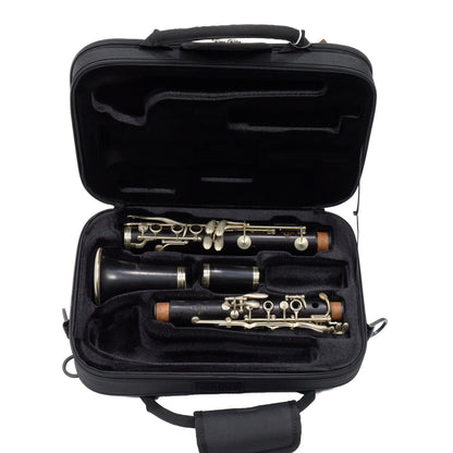 Buffet Crampon R13 Professional Bb Clarinet