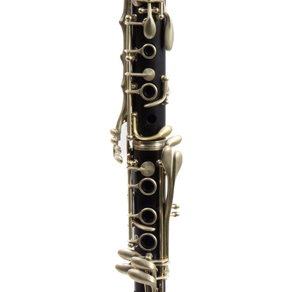 Buffet Crampon R13 Professional Bb Clarinet