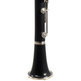 Buffet Crampon R13 Professional Bb Clarinet SN 106354 EXCELLENT