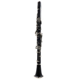 Buffet Crampon R13 Professional Bb Clarinet SN 258514 FRESH OVERHAUL