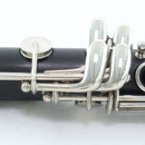 Buffet Crampon R13 Professional Bb Clarinet SN 468453 VERY NICE- for sale at BrassAndWinds.com