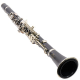 Buffet Crampon R13 Professional Bb Clarinet SN 51580/533608 FRESH OVERHAUL