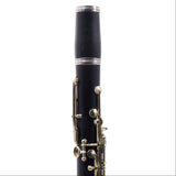 Buffet Crampon R13 Professional Bb Clarinet SN 53050 EXCELLENT