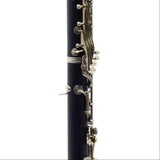 Buffet Crampon R13 Professional Bb Clarinet SN 53050 EXCELLENT