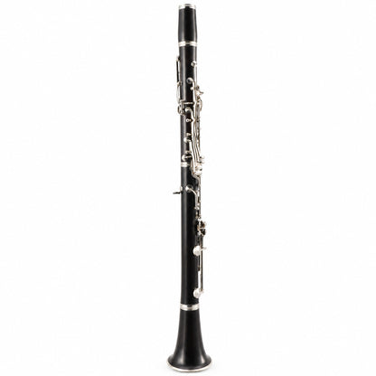 Buffet Crampon R13 Professional Bb Clarinet in Grenadilla