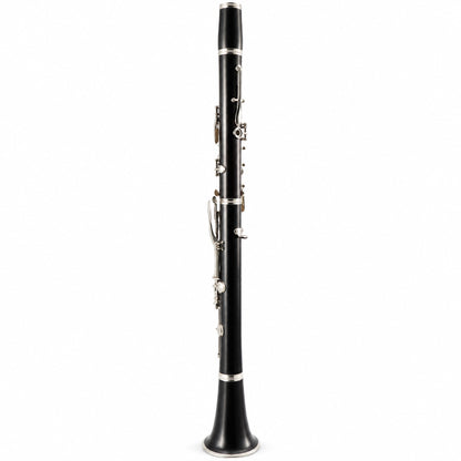 Buffet Crampon R13 Professional Bb Clarinet in Grenadilla