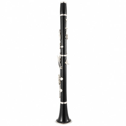 Buffet Crampon R13 Professional Bb Clarinet with Silver-Plated Keys