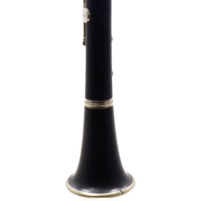 Buffet Crampon R16 Professional Full Boehm Bb Clarinet