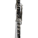 Buffet Crampon RC Prestige Basset Horn in F with Range to Low C SN 36437 GORGEOUS- for sale at BrassAndWinds.com