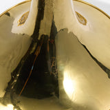 C.G. Conn Model 10D Professional Geyer Wrap French Horn SN 494464 EXCELLENT- for sale at BrassAndWinds.com