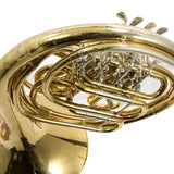 C.G. Conn Model 10D Professional Geyer Wrap French Horn SN 494464 EXCELLENT- for sale at BrassAndWinds.com