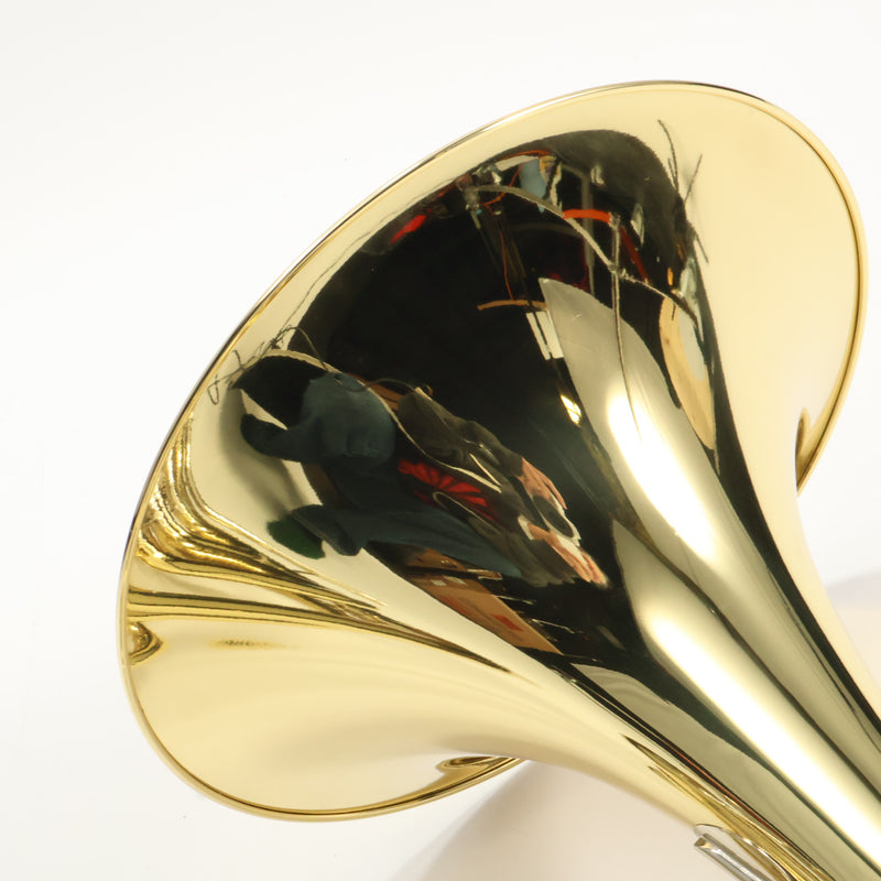 C.G. Conn Model 11DN Professional Geyer Wrap French Horn SN 657353 GORGEOUS- for sale at BrassAndWinds.com