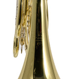 C.G. Conn Model 11DN Professional Geyer Wrap French Horn SN 663856 SUPERB- for sale at BrassAndWinds.com