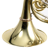 C.G. Conn Model 11DNS Geyer Wrap Professional French Horn SN 663006 SUPERB- for sale at BrassAndWinds.com