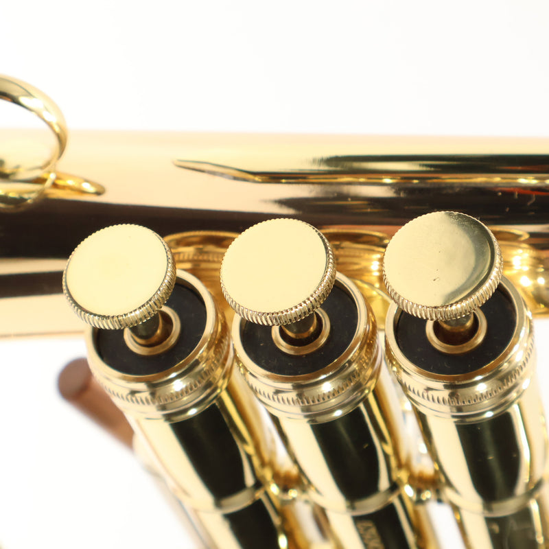 C.G. Conn Model 1FG 'Vintage One' Professional Flugelhorn SN 639340 EXCELLENT- for sale at BrassAndWinds.com