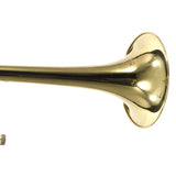 C.G. Conn Model 6H Professional .500 Bore Tenor Trombone SN 829126 EXCELLENT- for sale at BrassAndWinds.com