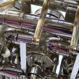 C.G. Conn Model 8D Professional Double French Horn SN 661234 SUPERB- for sale at BrassAndWinds.com