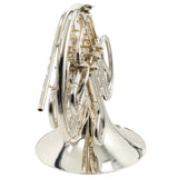 C.G. Conn Model 8D Professional Double French Horn SN 661458 SUPERB