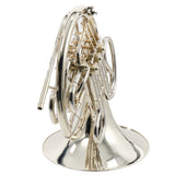 C.G. Conn Model 8D Professional Double French Horn SN 661466 SUPERB