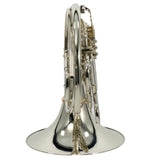 C.G. Conn Model 8DS Professional Double French Horn SN 656795 SUPERB- for sale at BrassAndWinds.com