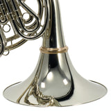 C.G. Conn Model 8DS Professional Double French Horn SN 656795 SUPERB- for sale at BrassAndWinds.com