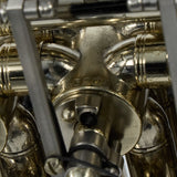 C.G. Conn Model 8DS Professional Double French Horn SN 663205 SUPERB- for sale at BrassAndWinds.com