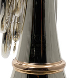 C.G. Conn Model 8DS Professional Double French Horn SN 665321 SUPERB- for sale at BrassAndWinds.com