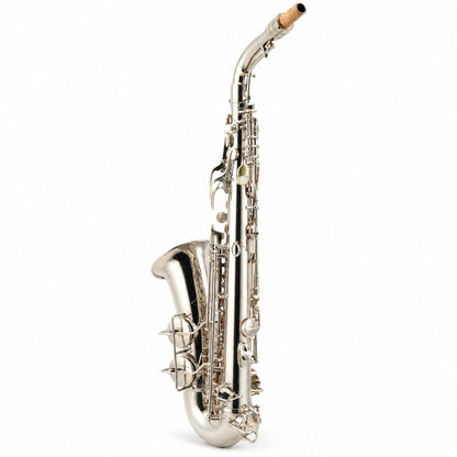 C.G. Conn Transitional Professional Alto Saxophone in Silver Plate
