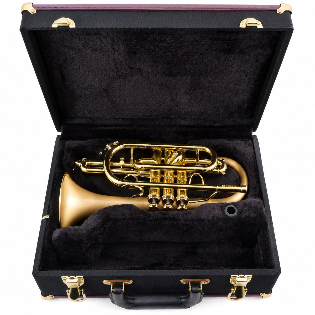 CarolBrass 3880G Professional Bb Cornet in Satin Brass