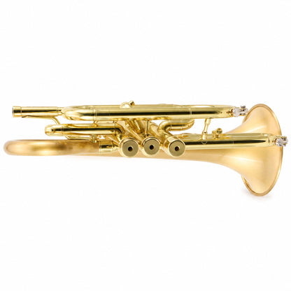 CarolBrass 3880G Professional Bb Cornet in Satin Brass