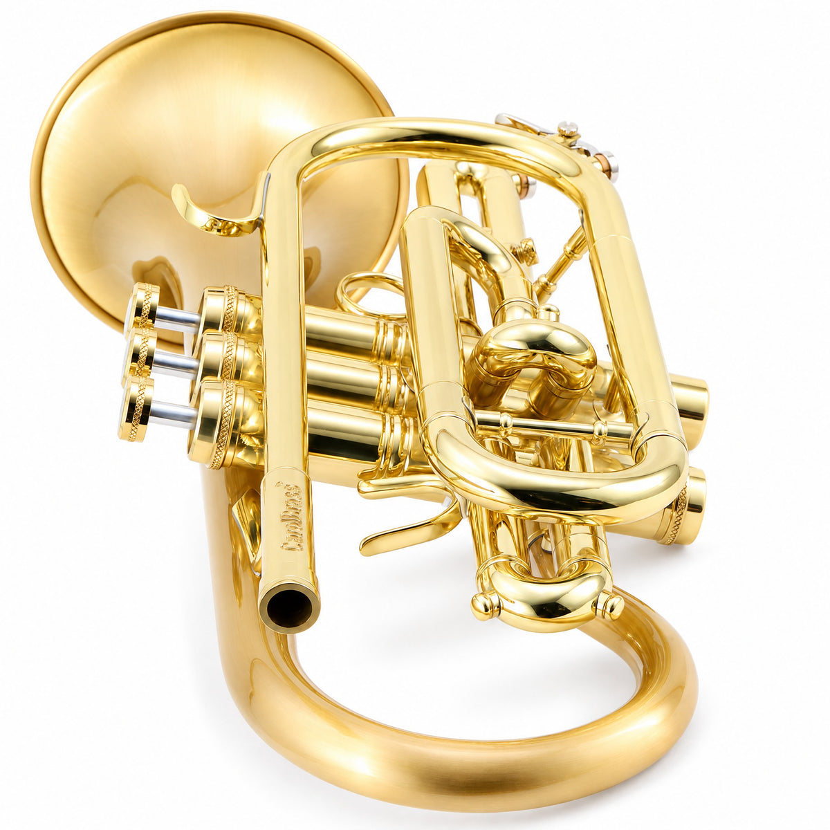 CarolBrass 3880G Professional Bb Cornet in Satin Brass