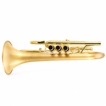 CarolBrass 3880G Professional Bb Cornet in Satin Brass