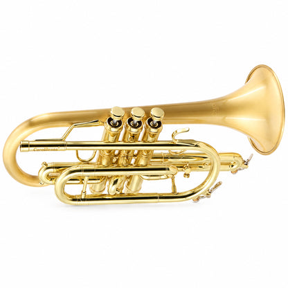 CarolBrass 3880G Professional Bb Cornet in Satin Brass