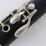 Early Buffet Crampon R13 Professional Clarinet in Bb SN 55267 EXCELLENT- for sale at BrassAndWinds.com