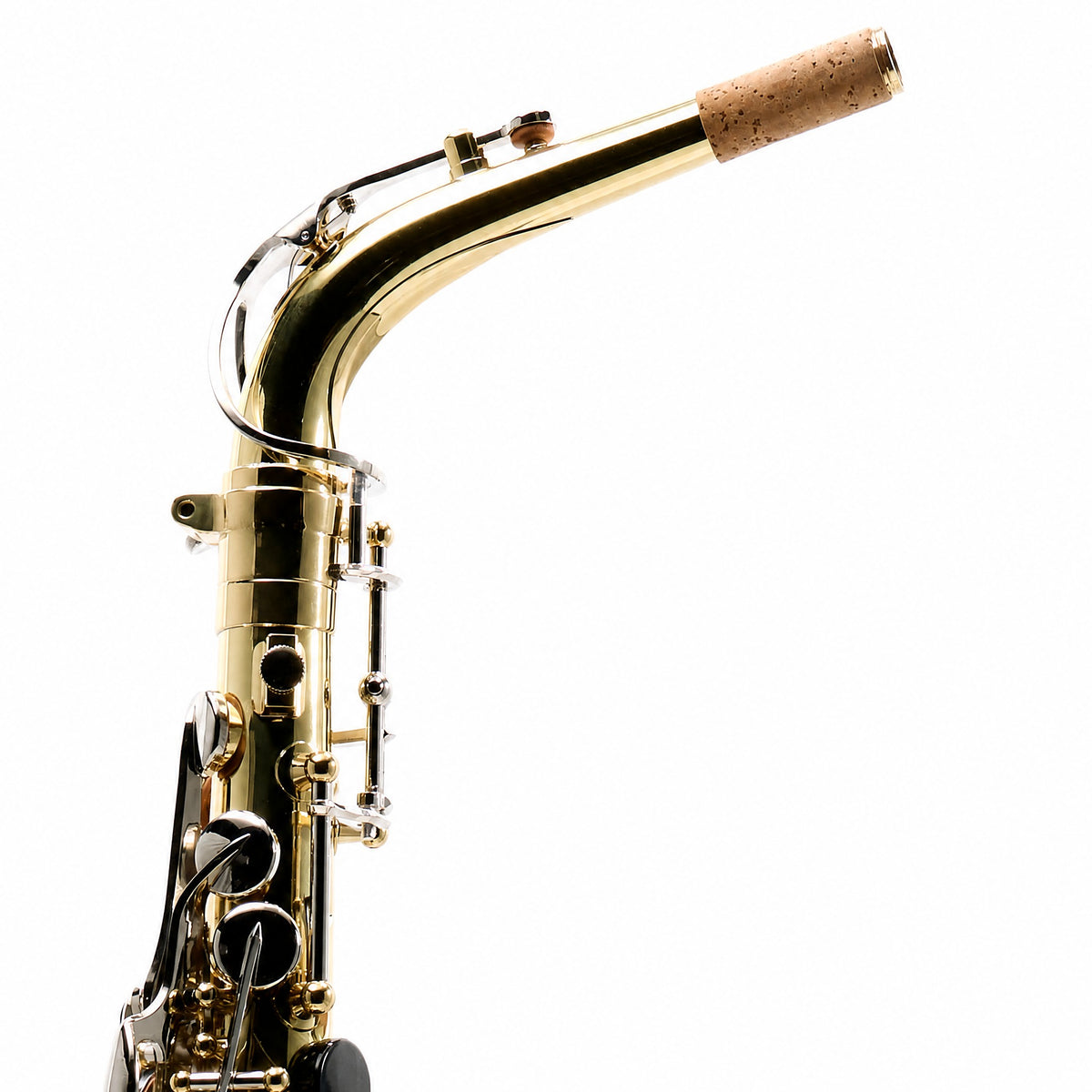 Eastman EAS251 Student Eb Alto Saxophone in Clear Lacquer