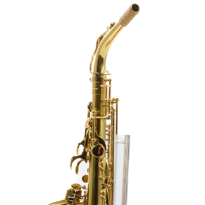 Eastman EAS650 'Rue Saint-Georges' Alto Saxophone