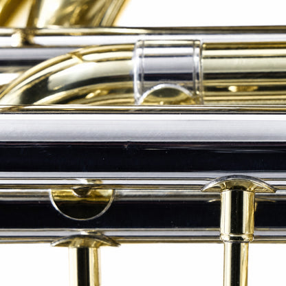 Eastman EBB534 Professional BBb 4/4 Tuba in Lacquer