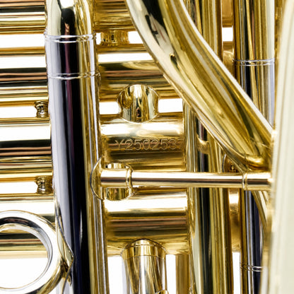 Eastman EBB534 Professional BBb 4/4 Tuba in Lacquer