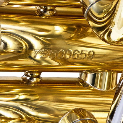 Eastman EBB622 Professional 4/4 BBb Tuba in Clear Lacquer