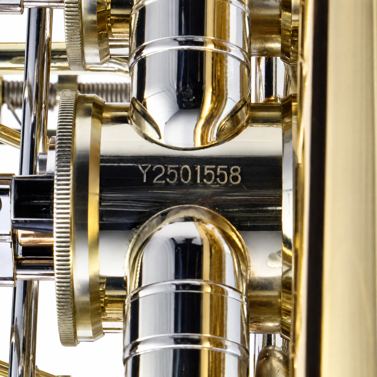 Eastman EBB825VG Professional 5/4 BBb Tuba in Gold Brass