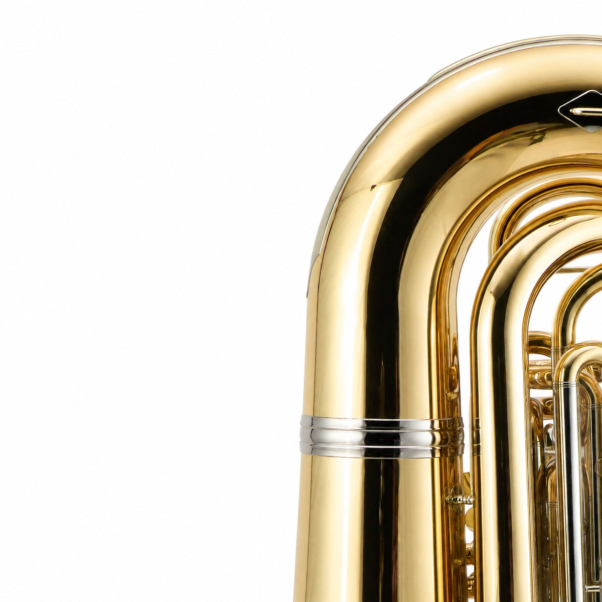 Eastman EBB825VG Professional 5/4 BBb Tuba in Gold Brass