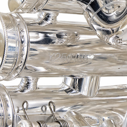 Eastman EBC834S Professional 5/4 CC Tuba in Silver Plate