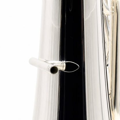 Eastman EBF862GBS Professional F Tuba in Silver Plate