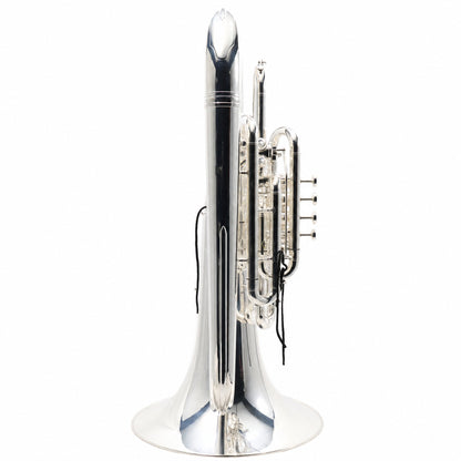 Eastman EBF862GBS Professional F Tuba in Silver Plate