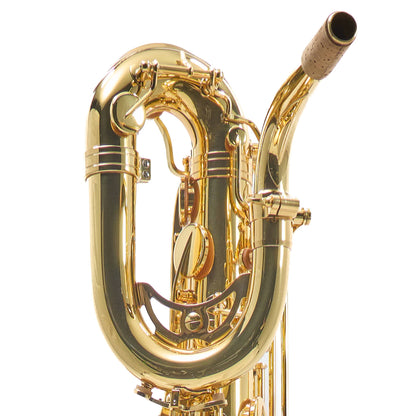 Eastman EBS453 Performance Low A Baritone Saxophone