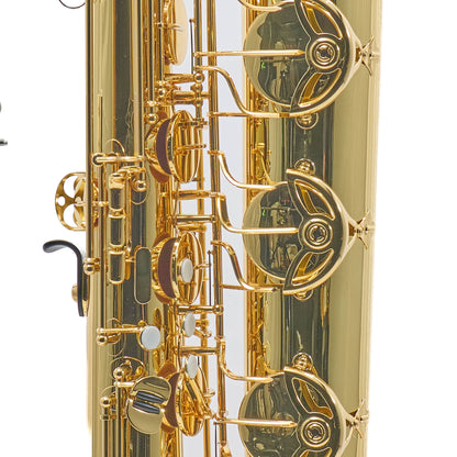 Eastman EBS453 Performance Low A Baritone Saxophone